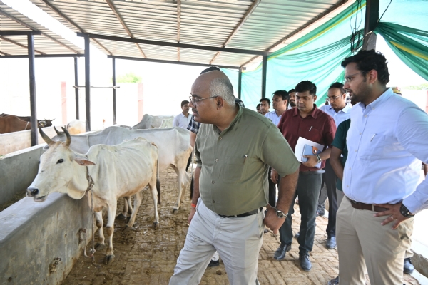 निरीक्षण के दौरान जिलाधिकारी जितेंद्र प्रताप सिंह