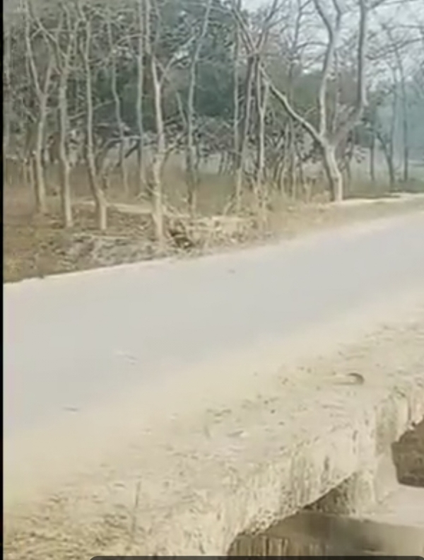 नेवादा-बिबियापुर मार्ग पर तमसा नदी को जोड़ने वाला सेतु निर्माण