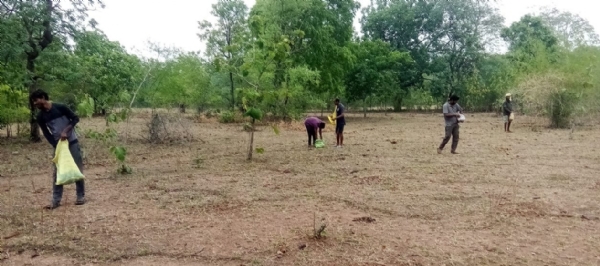 जोंक नदी के किनारे सीड बॉल रोपण का कार्य किया गया
