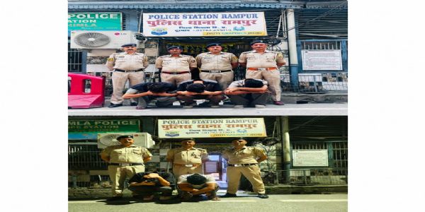 शिमला : दो मामलों में 203 ग्राम चिट्टा बरामद, छह आरोपी गिरफ्तार