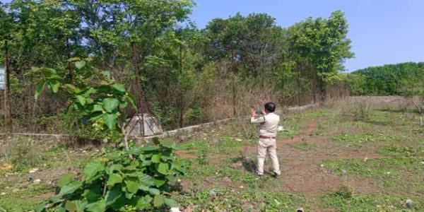भोपाल में टाइगर का मूवमेंट, मॉर्निंग वॉक के दौरान  दंपती का आमना-सामना, वन विभाग ने शुरू की सर्चिंग