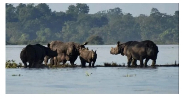 Image of the Kaziranga Flood.