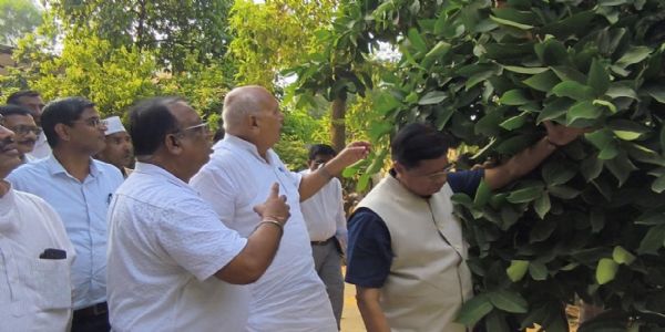 मोटे अनाज की खेती पर ध्यान दें किसान : सूर्य प्रताप शाही