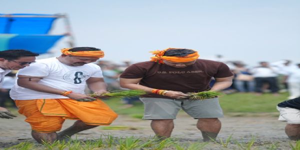 धान रोपाई कार्यक्रम में शामिल हुए कृषि मंत्री पीयूष हजारिका
