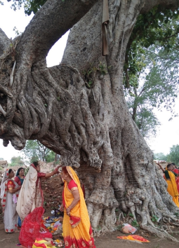 वट सावित्री व्रत