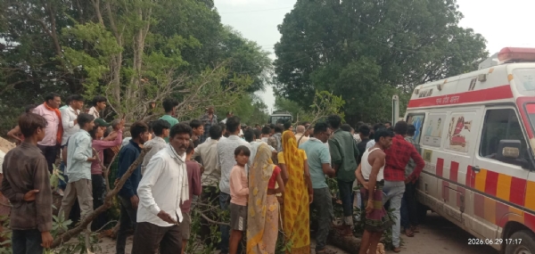 दमोह: चलती बाइक पर अचानक गिरा विशाल