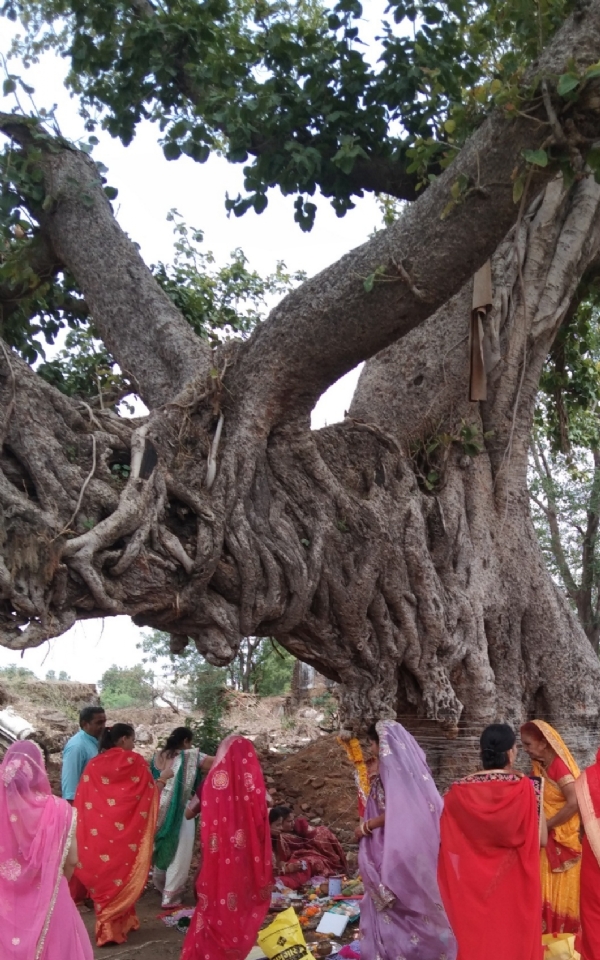 वट सावित्री व्रत