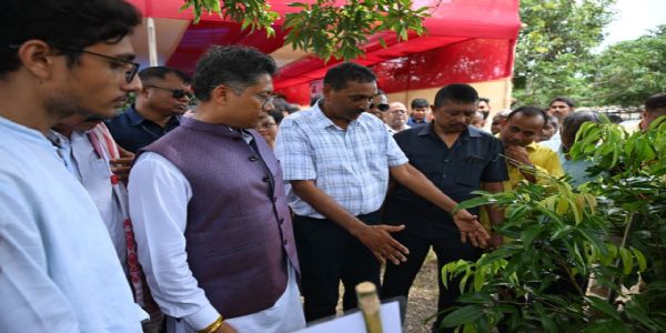 तेजपुर की प्रसिद्ध लीची के दो लाख पौधे तैयार करने के निर्देश