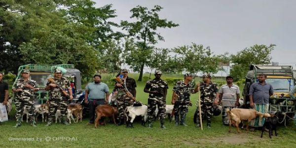 भारत-नेपाल सीमा पर 70 बकरियां जब्त, एक नेपाली समेत सात तस्कर गिरफ्तार
