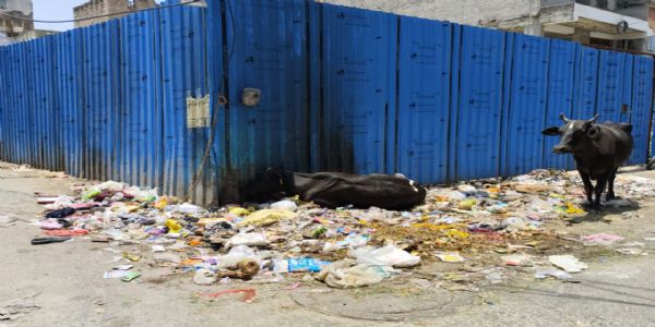 सफाई कर्मचारियों के कार्य बहिष्कार से जयपुर की सफाई व्यवस्था प्रभावित, शहर में बढ़ने लगे कचरे के ढेर