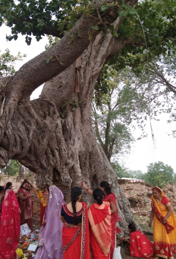 वट सावित्री व्रत