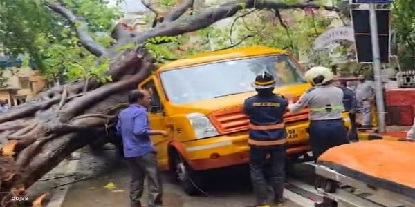 (अपडेट) चेंबूर में निजी स्कूल की बस पर पेड़ गिरने से एक छात्रा की मौत, १४ छात्र घायल