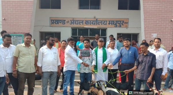 मुख्यमंत्री पशुधन विकास योजना के तहत 52 लाभुकों के बीच परिसंपत्तियों का वितरण मुख्यमंत्री पशुधन विकास योजना के तहत 52 लाभुकों के बीच परिसंपत्तियों का वितरण
