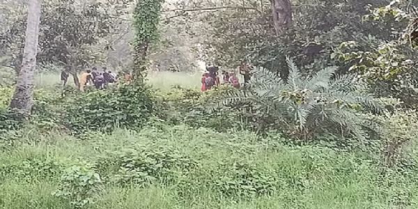 बार्डर गार्ड बांग्लादेश ने दावा किया है कि चार जून को भारत के सीमा सुरक्षा बल ने चापईनावाबगंज में 28 लोगों को बांग्लादेश सीमा में धकेलने की कोशिश की। फोटो - बीजीबी