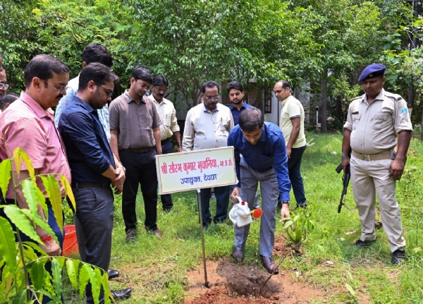 विश्व पर्यावरण दिवस पर उपायुक्त ने लगाया लीची का पौधा विश्व पर्यावरण दिवस पर उपायुक्त ने लगाया लीची का पौधा