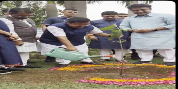 विश्व पर्यावरण दिवस के मौके पर नेहरू पार्क में पौधा रोपण करते भाजपा अध्यक्ष नितिन नवीन