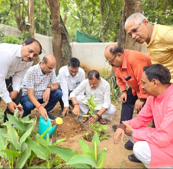 भाजपा कार्यकर्ताओं द्वारा वृक्षारोपण भाजपा कार्यकर्ताओं द्वारा वृक्षारोपण