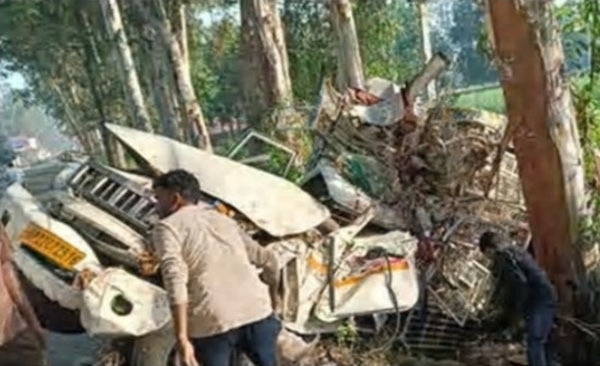 पेड़ से टकराई पिकअप पेड़ से टकराई पिकअप