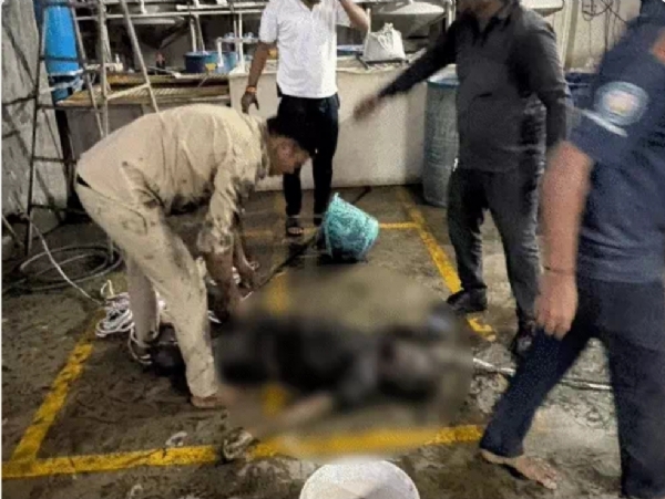 जहरीली गैस की चपेट में आने से हादसा जहरीली गैस की चपेट में आने से हादसा