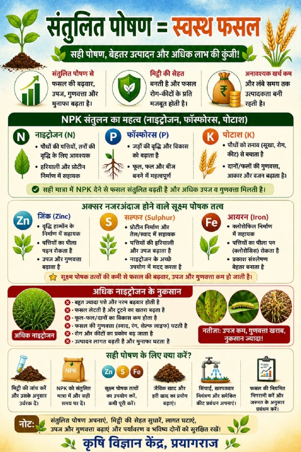 कृषि वैज्ञानिक केंद्र जारी एडवाइजरी का छाया चित्र कृषि वैज्ञानिक केंद्र जारी एडवाइजरी का छाया चित्र