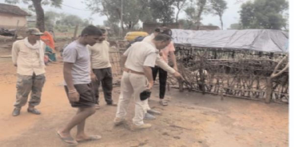 सतना के शिवसागर गांव में तेंदुए का हमला, बाड़े में घुसकर नौ भेड़ों को मार डाला
