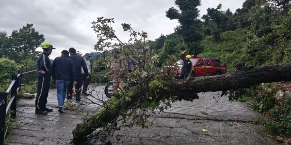 बारिश से खेतवाला गांव का संपर्क टूटा, महिलाओं ने झाड़ियां काटकर बनाया पैदल रास्ता