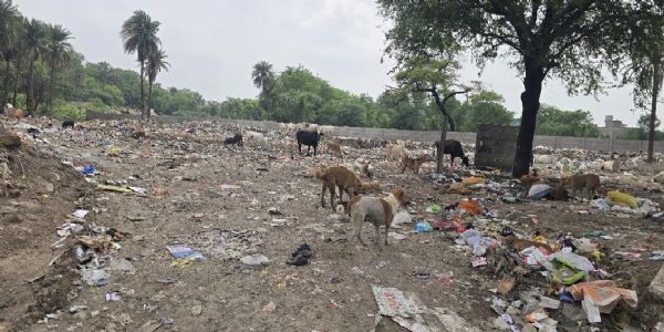 मंदसौर : कोर्ट रोड से ट्रेंचिंग ग्राउंड हटाने की मांग लेकर स्थायी लोक अदालत पहुंचे अधिवक्ता