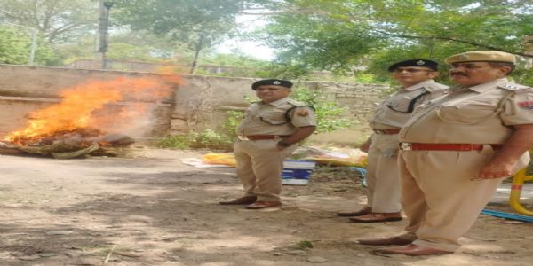 जयपुर ग्रामीण पुलिस ने नष्ट किए 19.43 लाख रुपये के मादक पदार्थ