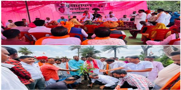 राजगढ़ः चारपुरा में मंत्री पंवार ने किया पौधारोपण, पर्यावरण संरक्षण और जैविक खेती का दिया संदेश