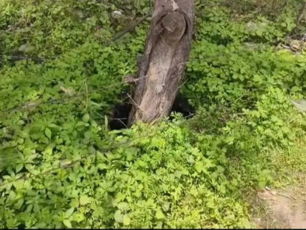स्कूल परिसर के पास जमीन धसा स्कूल परिसर के पास जमीन धसा