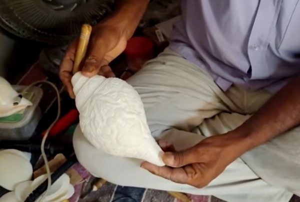 सूक्ष्म नक्काशी से सुसज्जित हाटग्राम की शंख कलाकृतियां सूक्ष्म नक्काशी से सुसज्जित हाटग्राम की शंख कलाकृतियां
