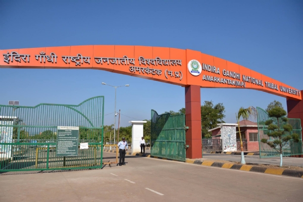 फाईल फाईल