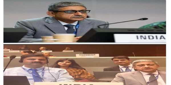 भारतीय काजू गिरी को मिली नई पहचान, अंतरराष्ट्रीय मानक बनाने के प्रस्ताव को मंजूरी