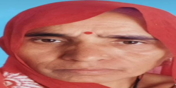 नशे में धुत युवक ने पड़ोसी महिला के सिर पर पत्थर से किया हमला, इलाज के दौरान मौत