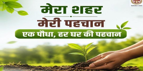 मप्र के शहरों को हरा-भरा और प्रदूषण मुक्त बनाएगी नमो हरित-नगर योजना