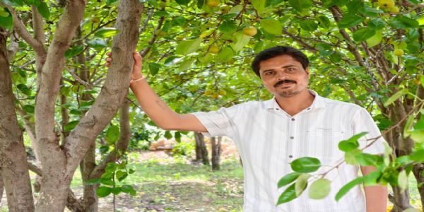 नाशपाती से चमकी किसान मनोज यादव की किस्मत