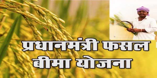 31 जुलाई तक कराएं फसल बीमा, अऋणी किसान न चूकें अवसर