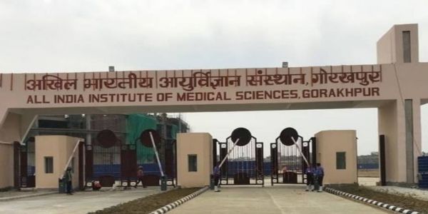 बाल प्रत्यारोपण के क्षेत्र में एम्स गोरखपुर का नवाचार, सस्ती स्वदेशी तकनीक को मिली वैश्विक स्वीकृति