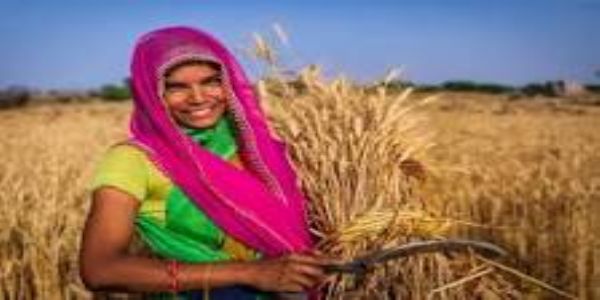 मौसम आधारित कृषि सलाह का पालन करने की अपील