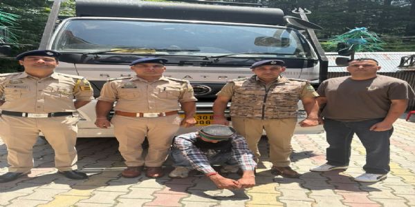 सोलंगनाला में 1,200 बोतल अवैध शराब के साथ ट्रक जब्त, चालक गिरफ्तार