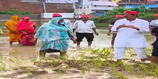 रुद्रपुर बस स्टेशन में जलभराव के विरोध में सपा नेता ने राेपा धान
