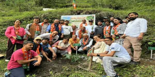 कांग्रेस सरकार की नीतियों से उद्योग और शिक्षा व्यवस्था हुई प्रभावित : सिकंदर कुमार