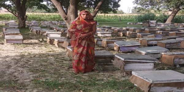 सैकड़ों महिलाओं के लिए प्रेरणा स्राेत बनी रिंकी, शासकीय योजनाओं और स्वयं सहायता समूह से जुड़कर खुद को बनाया आत्मनिर्भर