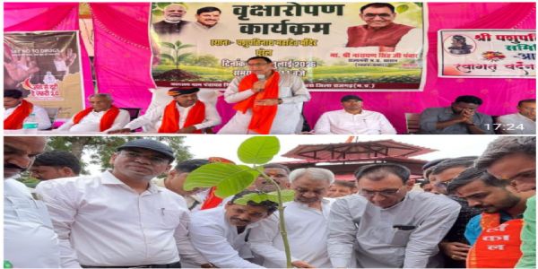 राजगढ़ः राज्यमंत्री पंवार ने कदंब का पौधा रोपकर दिया प्रकृति बचाने का संदेश