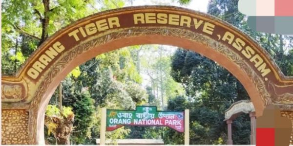ओरांग राष्ट्रीय उद्यान में ड्यूटी के दौरान सर्विस राइफल से चली गोली, वनकर्मी गंभीर रूप से घायल