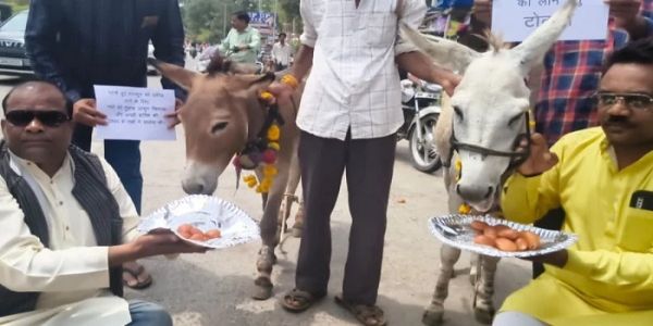 तेज बारिश की आस में अनोखा टोटका, भोपाल में गधों को खिलाए गुलाब जामुन, इंद्रदेव से की झमाझम बारिश की प्रार्थना