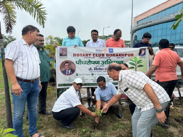 वाटर स्पोर्ट्स कॉम्प्लेक्स में रोपे गए विभिन्न प्रजातियों के पौधे, देखभाल और संरक्षण का लिया संकल्प वाटर स्पोर्ट्स कॉम्प्लेक्स में रोपे गए विभिन्न प्रजातियों के पौधे, देखभाल और संरक्षण का लिया संकल्प