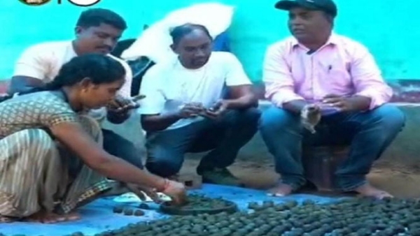 दंतेवाड़ा में हरित आवरण बढ़ाने एक लाख सीड बॉल तैयार करने का लक्ष्य दंतेवाड़ा में हरित आवरण बढ़ाने एक लाख सीड बॉल तैयार करने का लक्ष्य
