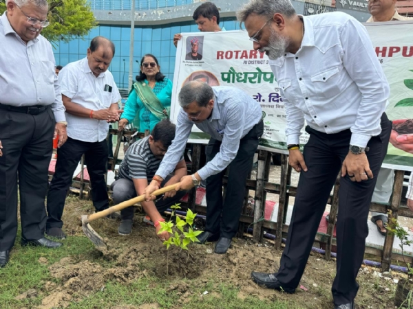 वाटर स्पोर्ट्स कॉम्प्लेक्स में रोपे गए विभिन्न प्रजातियों के पौधे, देखभाल और संरक्षण का लिया संकल्प वाटर स्पोर्ट्स कॉम्प्लेक्स में रोपे गए विभिन्न प्रजातियों के पौधे, देखभाल और संरक्षण का लिया संकल्प