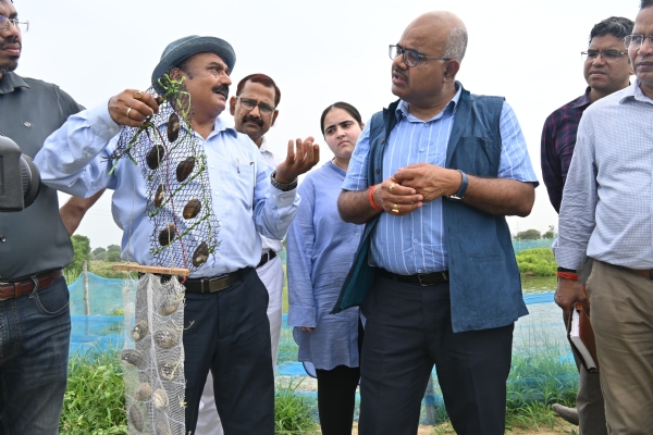 निरीक्षण के दौरान जिलाधिकारी जितेंद्र प्रताप सिंह निरीक्षण के दौरान जिलाधिकारी जितेंद्र प्रताप सिंह